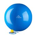 Black Mountain Products Black Mountain Products 45cm Blue Gym Ball 45 cm Static Strength Exercise Stability Ball with Pump; Blue 45cm Blue Gym Ball